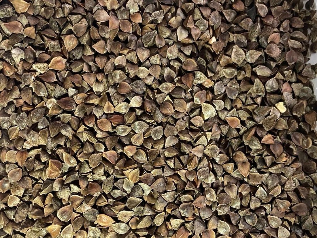 Buckwheat grain, gluten-free, shown against a scale