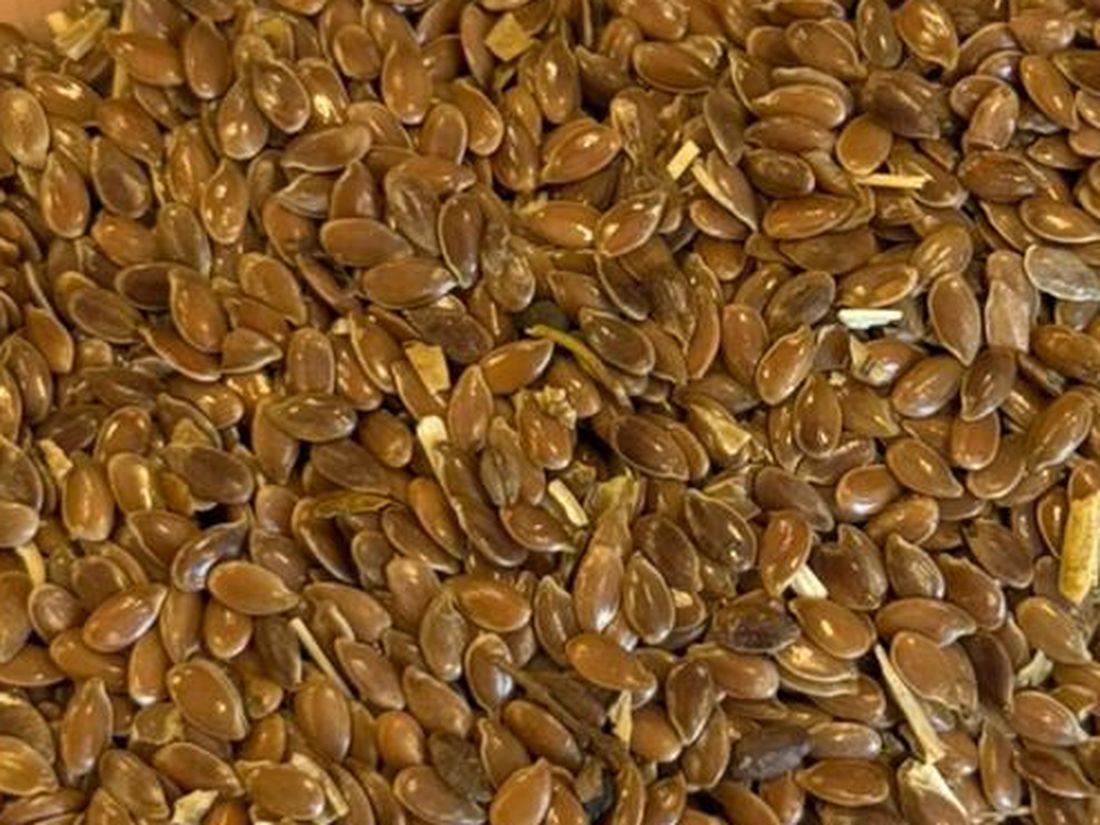 Oil flax seed, industrial raw material, Kazakh origin
