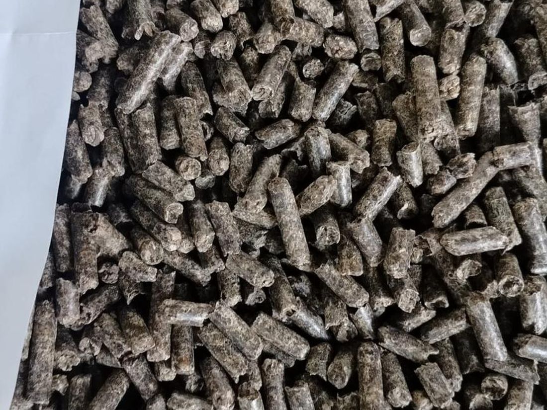 Dried molassed sugar beet pulp in pelleted form